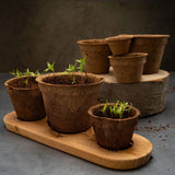 Kokos Anzuchttöpfe & Quelltabletten für eine erfolgreiche Anzucht - torffrei - Größe: 0,50 L - Ø 12 cm - HappySeed