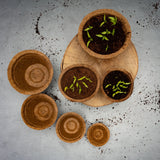 Kokos Anzuchttöpfe & Quelltabletten für eine erfolgreiche Anzucht - torffrei - Größe: 0,15 L - Ø 8 cm - HappySeed