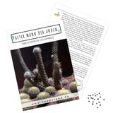 Außergewöhnliche Kakteen Samen mit hoher Keimrate - Alter Mann der Anden (Oreocereus Celsianus) - HappySeed