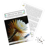 Außergewöhnliche Kakteen Samen mit hoher Keimrate - Königin der Nacht (Selenicereus Grandiflorus) - HappySeed