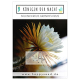Außergewöhnliche Kakteen Samen mit hoher Keimrate - Königin der Nacht (Selenicereus Grandiflorus) - HappySeed
