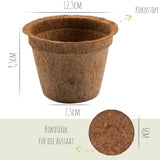 Kokos Anzuchttöpfe & Quelltabletten für eine erfolgreiche Anzucht - torffrei - Größe: 0,50 L - Ø 12 cm - HappySeed