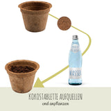 Kokos Anzuchttöpfe & Quelltabletten für eine erfolgreiche Anzucht - torffrei - Größe: 0,50 L - Ø 12 cm - HappySeed