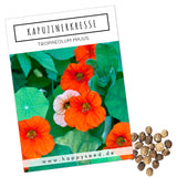 Kapuzinerkresse Samen - Tropaeolum majus - HappySeed
