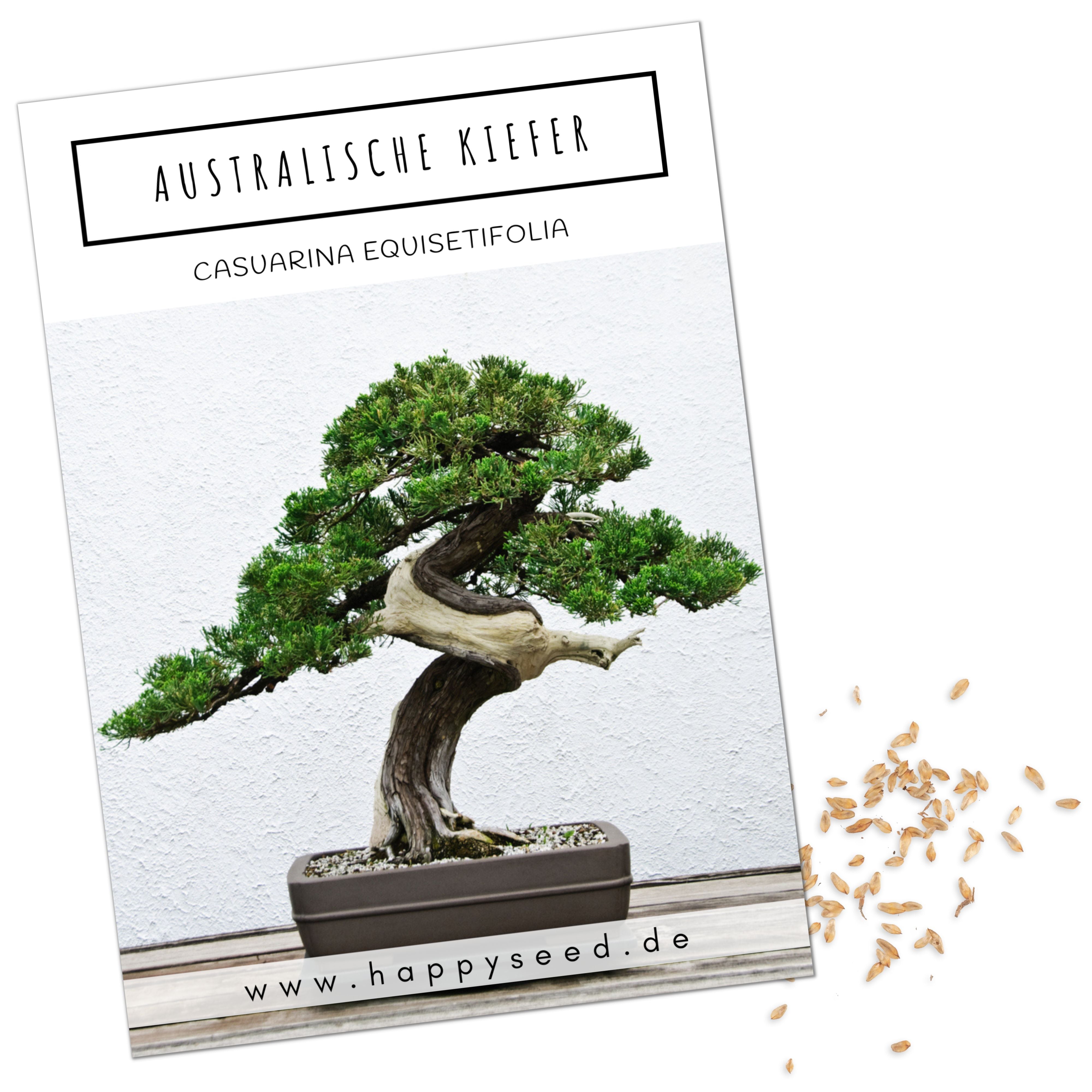Exotische Bonsai Samen mit hoher Keimrate