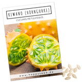 Kiwano / Horngurke Samen - Cucumis metuliferus - HappySeed