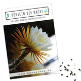 Außergewöhnliche Kakteen Samen mit hoher Keimrate - Königin der Nacht (Selenicereus Grandiflorus) - HappySeed