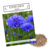 Kornblumen Samen (Centaurea cyanus) - Blau, 1000 Korn, 80 cm - HappySeed