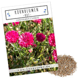 Kornblumen Samen (Centaurea cyanus) - Rot, 1000 Korn, 80 cm - HappySeed