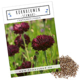 Kornblumen Samen (Centaurea cyanus) - Schwarz, 1000 Korn, 80 cm - HappySeed