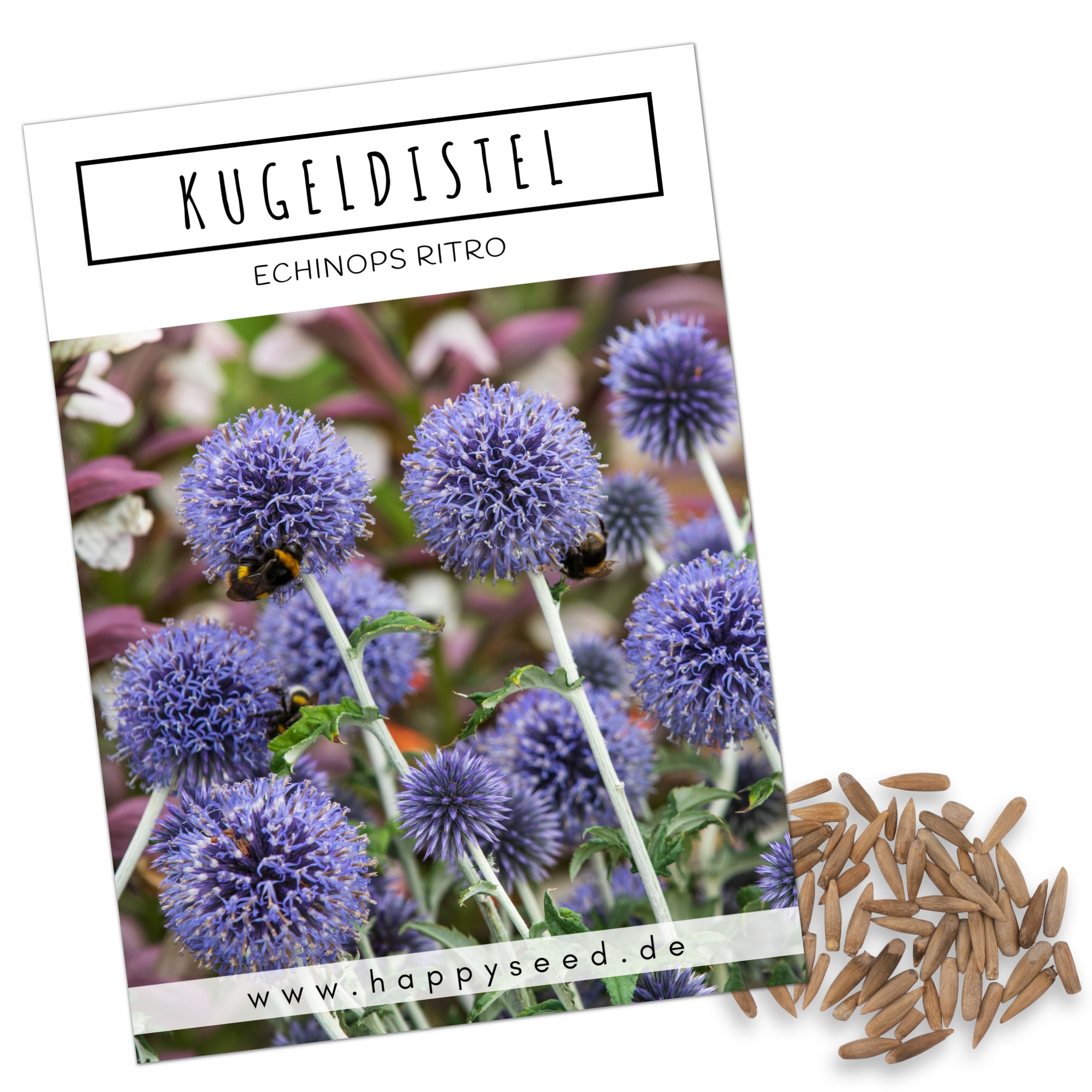 Kugeldistel Samen