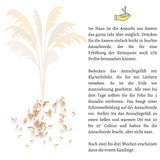 Amerikanisches Pampasgras Samen - Cortaderia selloana - HappySeed