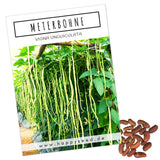 Meterbohne Samen - Vigna unguiculata - HappySeed