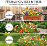 Üppig bepflanzter Balkonkasten mit bunter Blumenmischung