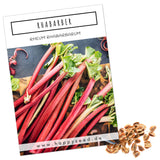 Roter Rhabarber Samen - Rheum rhabarbarum - HappySeed