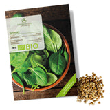BIO Spinat Samen (Matador) - Spinat Saatgut aus biologischem Anbau (150 Korn) - HappySeed