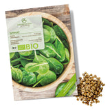 BIO Spinat Samen (Winterriese) - Winterspinat Saatgut aus biologischem Anbau (125 Korn) - HappySeed