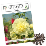 Stockrosen Samen - Alcea Rosea (Gelb) - HappySeed