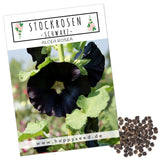 Stockrosen Samen - Alcea Rosea (Schwarz) - HappySeed