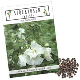 Stockrosen Samen - Alcea Rosea (Weiß) - HappySeed