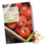 BIO Tomatensamen (Saint Pierre) - Tomaten Saatgut aus biologischem Anbau (10 Korn) - HappySeed