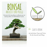 Bonsai Samen mit hoher Keimrate - 5er Set inkl. gratis eBook