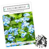 Vergissmeinnicht Samen - Myosotis - HappySeed