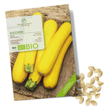 BIO Zucchini Samen Gelb (Gold Rush) - Zucchini Saatgut aus biologischem Anbau (5 Korn) - HappySeed