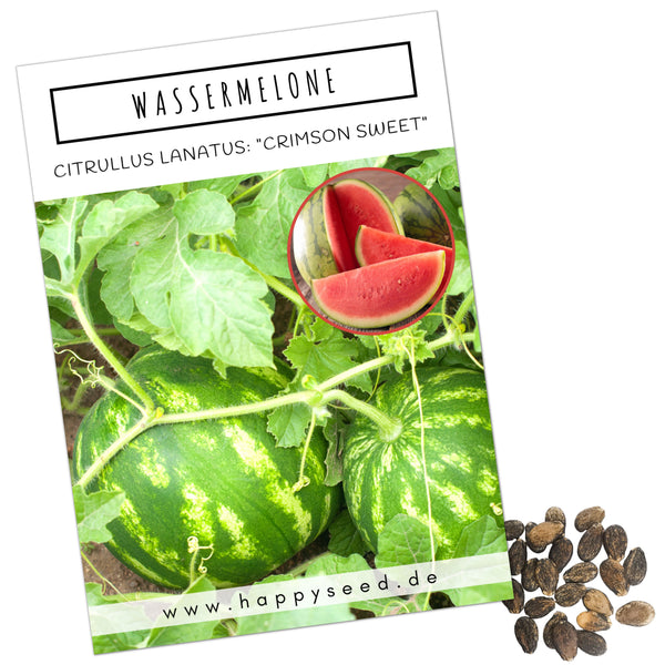 Wassermelone Samen - Citrullus lanatus - HappySeed