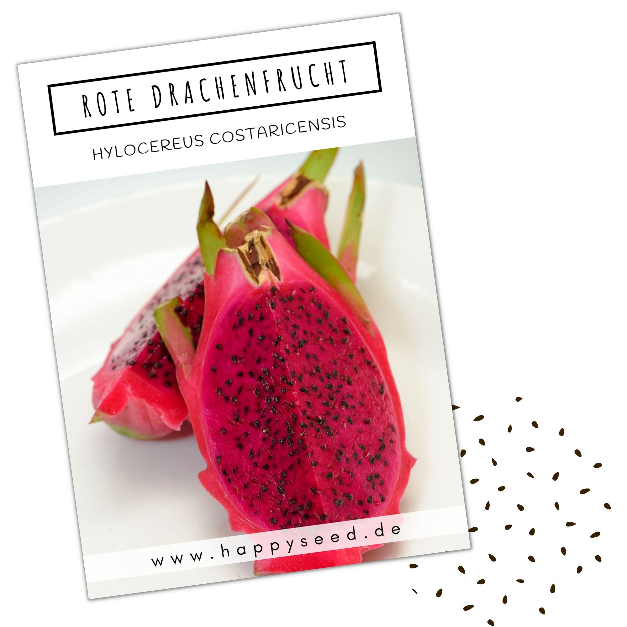 drachenfrucht bonsai Rote Drachenfrucht Samen