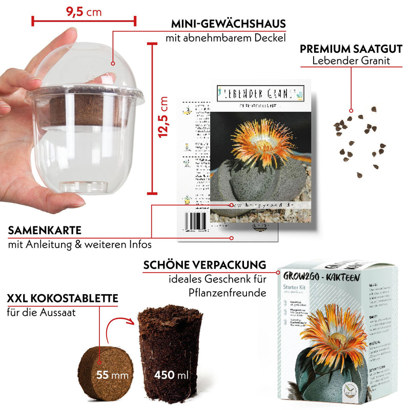 GROW2GO Kakteen Starter Kit - Mini-Gewächshaus, Kaktus Samen & Erde (Lebender Granit) - HappySeed