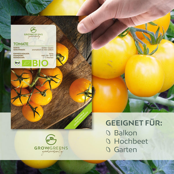 BIO Tomatensamen (Golden Queen) - Tomaten Saatgut aus biologischem Anbau (10 Korn) - HappySeed