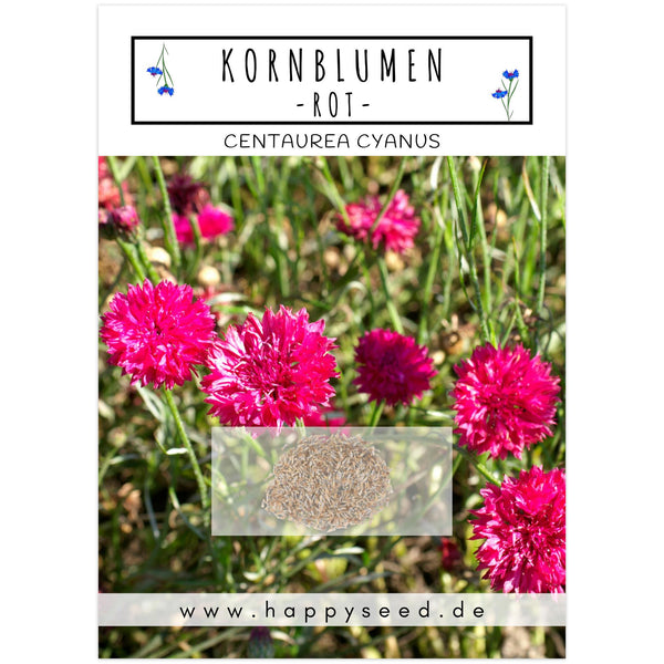 Kornblumen Samen (Centaurea cyanus) - Rot, 1000 Korn, 80 cm - HappySeed