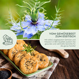 BIO Schwarzkümmelsamen - Küchenkräuter Saatgut aus biologischem Anbau (150 Korn) - HappySeed