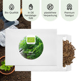 BIO Dill Samen - Küchenkräuter Saatgut aus biologischem Anbau (350 Korn) - HappySeed