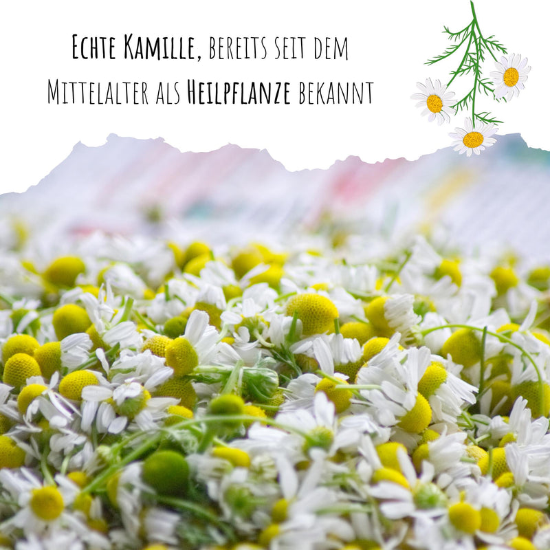 Echte Kamille Samen - Matricaria chamomilla - HappySeed
