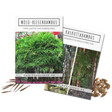 Bambus Samen mit hoher Keimrate - 2er Set - HappySeed