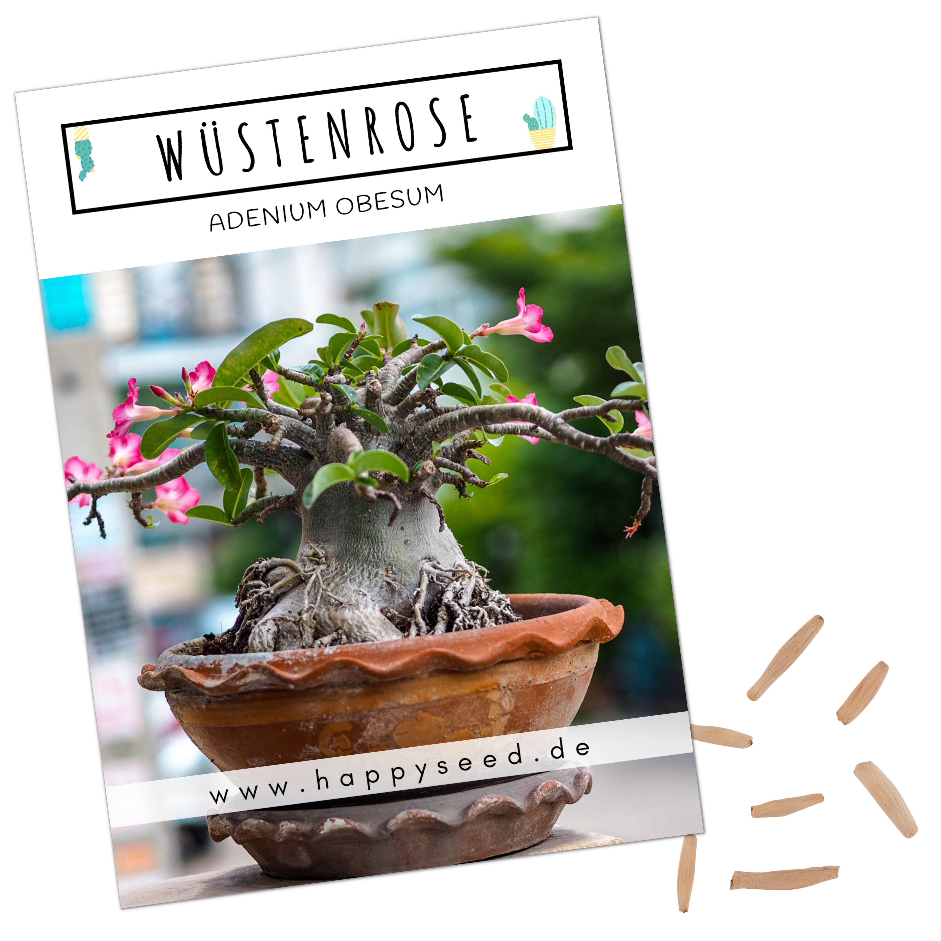 Wüstenrose Samen Adenium Obesum (Kakteen) HappySeed
