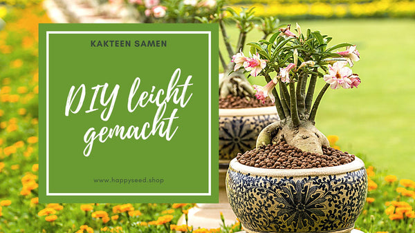 Kakteen Samen im Garten HappySeed