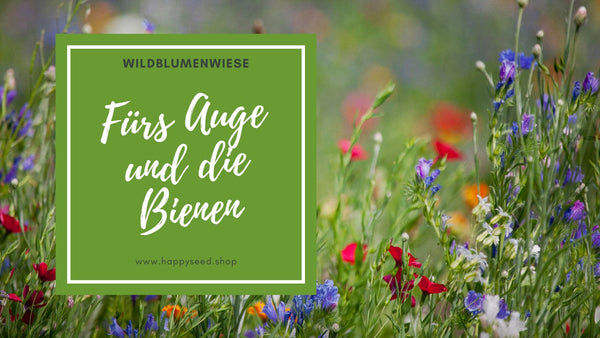 Wildblumen Samen von HappySeed