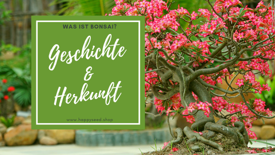 Was heißt Bonsai ?