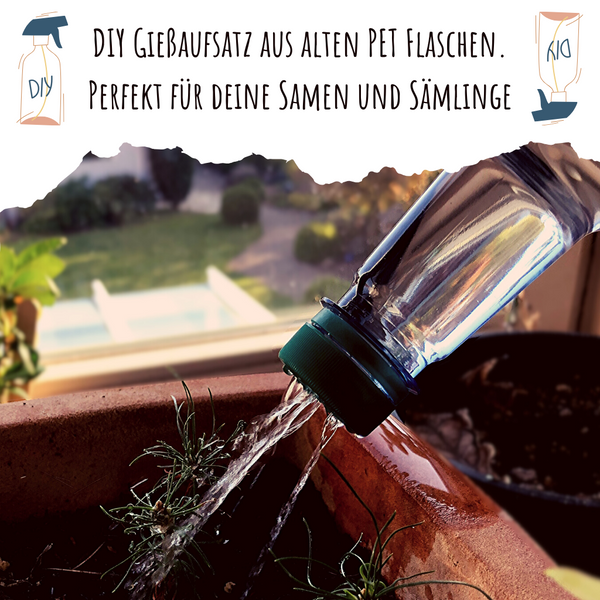 [DIY] Gießaufsatz aus deinen PET-Flaschen machen. Perfekt für die Anzucht und deine kleinen Sämlinge