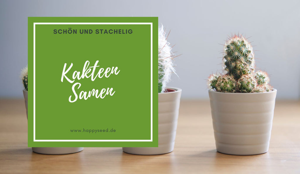 Kaktus Samen online kaufen - Pflanze mit Kakteen Samen deinen Kaktus   HappySeed