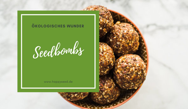 Seedbombs selber machen