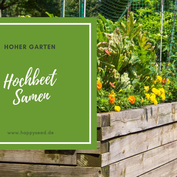 Samen fr Hochbeet - Gemsesamen fr dein Bio Hochbeet  HappySeed