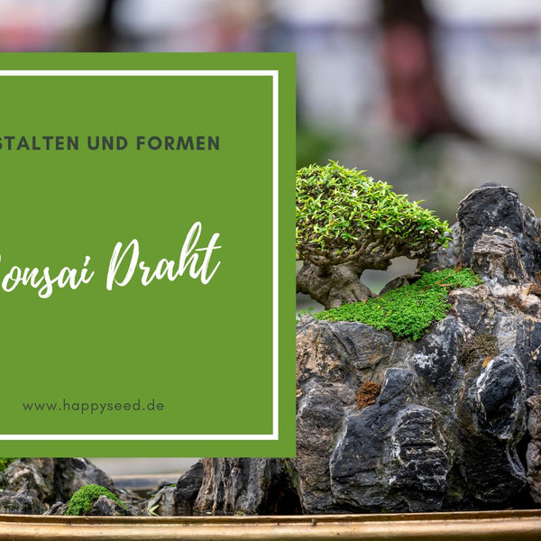 Bonsai Draht - Meisterhaftes Gestalten deines Bonsai  HappySeed
