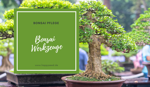 Bonsai Werkzeuge