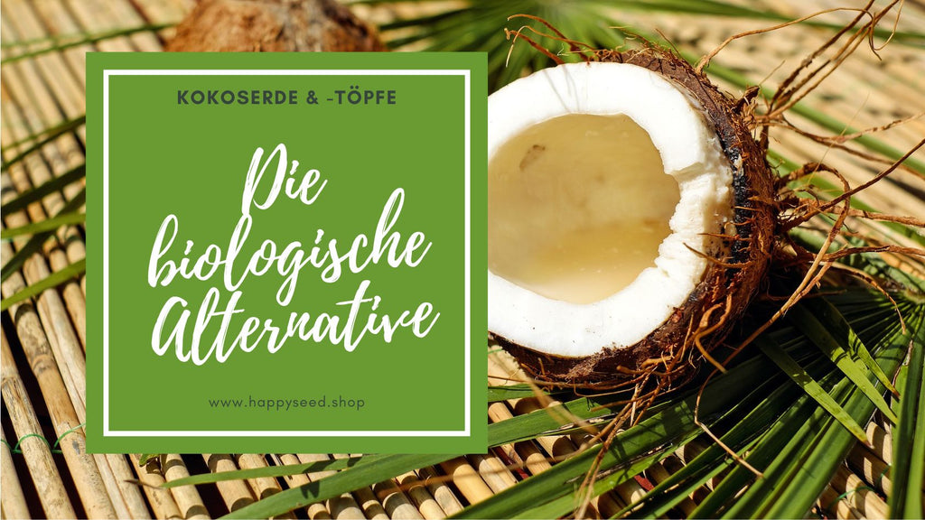 Anzucht mit Kokostpfen und Kokoserde - Die biologische Alternative   HappySeed