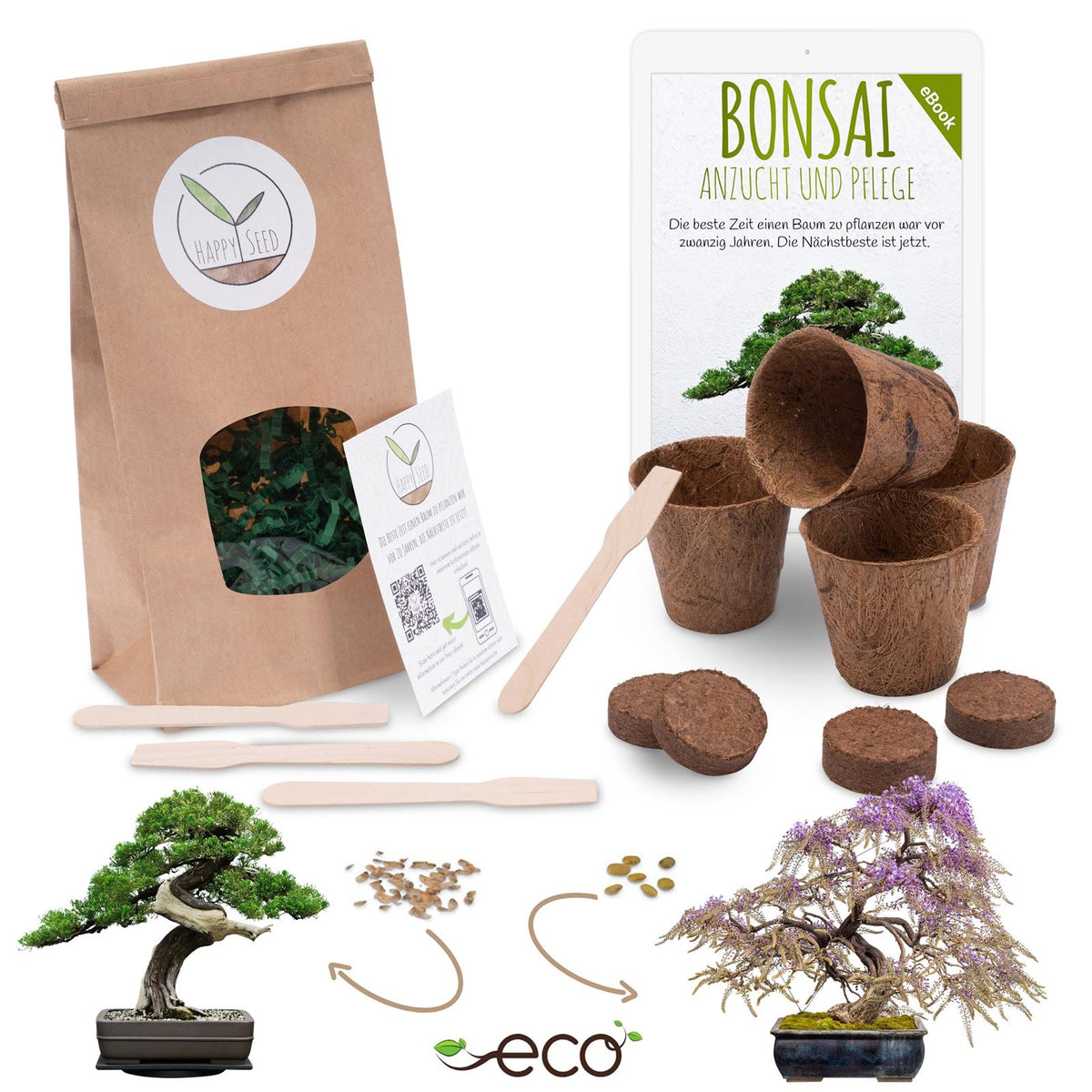 Bonsai Starter Kit Anzuchtset inkl. GRATIS eBook