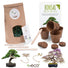 Bonsai Starter Kit inkl. eBook - Pflanzset aus Kokostöpfen, Samen & Erde (Afrikanischer Blauregen + Australische Kiefer) - HappySeed